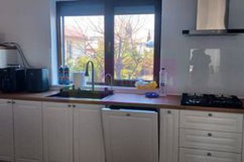 Săbăreni, casă nouă tip parter, cu pod mansardabil anunturi imobiliare Giurgiu