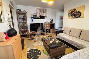 Apartament cu 2 camere in zona Dambovita, centrala termica și ac anunturi imobiliare Timis