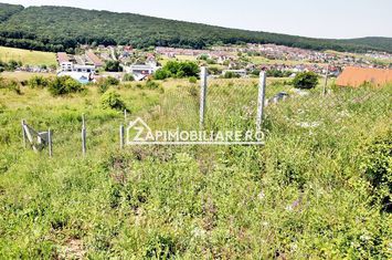 Teren 5.000 mp Corunca in spate la Dacia 40 euro mp anunturi imobiliare Mures