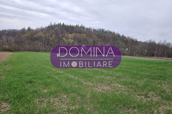 Teren de vanzare CIUPERCENI - Gorj anunturi imobiliare Gorj