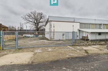 Hală cu teren intravilan de 3500 mp, în Sebiș Arad anunturi imobiliare Arad