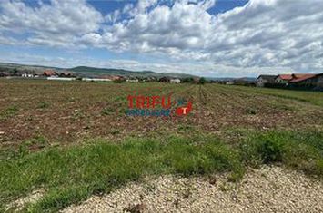 Teren Intravilan de vanzare CENTRAL - Alba anunturi imobiliare Alba