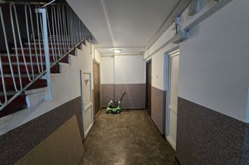 Vanzare 3 camere Radulescu Motru 20 - Tineretului anunturi imobiliare Bucuresti