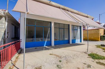 Casă + magazin 72+92 mp pe teren 800 mp, Trayilos anunturi imobiliare Grecia