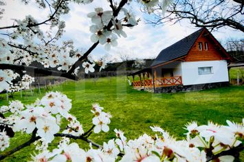 Casă - 2 camere de vanzare BLAJ - Alba anunturi imobiliare Alba