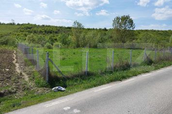 Teren de vanzare DEJ - Cluj anunturi imobiliare Cluj