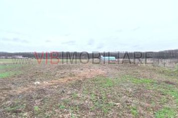Snagov - Ghermanesti - 9247 mp teren intravilan - deschidere 33 ml - langa padure anunturi imobiliare Bucuresti