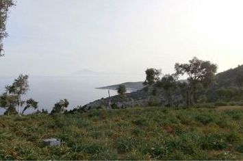 Teren construibil 8.804 mp în Theologos, Thassos anunturi imobiliare Grecia