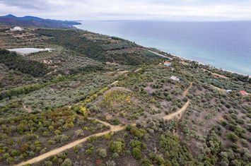 Teren 10.500 mp, Paralia Folias, 300 m de mare anunturi imobiliare Grecia