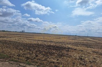 TEREN INTRAVILAN-CENTURA A0 anunturi imobiliare Bucuresti