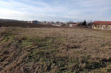 Teren intravilan investitie, Bucovat anunturi imobiliare Timis