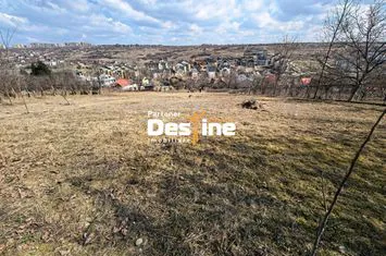 Teren de vanzare REDIU - Iasi anunturi imobiliare Iasi