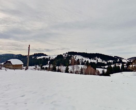 Teren Intravilan Fundata, 15000 mp