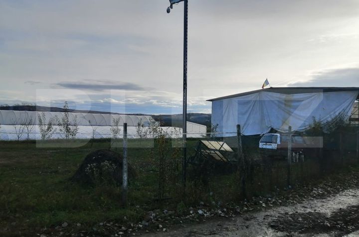 Teren de vanzare ALBA IULIA - Alba anunturi imobiliare Alba