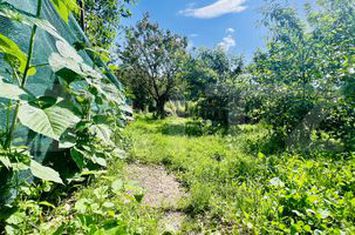 Casă - 3 camere de vanzare AIUD - Alba anunturi imobiliare Alba