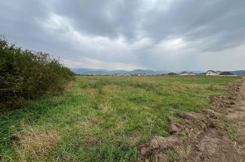 Teren de vanzare CRISTIAN - Sibiu anunturi imobiliare Sibiu