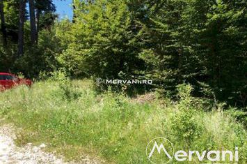 Teren Intravilan de vanzare SINAIA - Prahova anunturi imobiliare Prahova