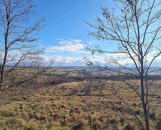 Teren Rosia, 4821 mp