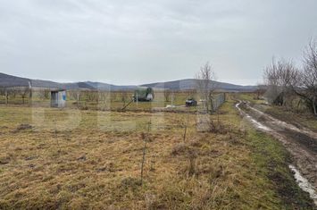 Teren de vanzare BECLEAN - Bistrita-Nasaud anunturi imobiliare Bistrita-Nasaud