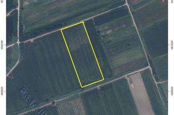 Teren agricol 10.436 mp în Chrysochori anunturi imobiliare Grecia