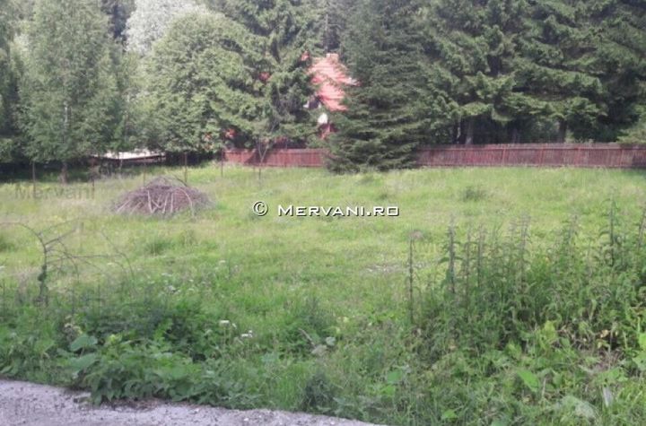 Teren de vânzare în Predeal (zona Semicentrală) anunturi imobiliare Brasov