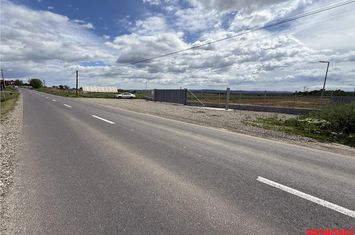 Teren Intravilan de vanzare CENTRAL - Bacau anunturi imobiliare Bacau