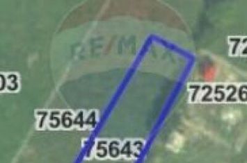 Teren Intravilan Păun anunturi imobiliare Iasi