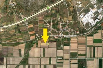 Teren agricol 7.812 mp în Pontolivado anunturi imobiliare Grecia