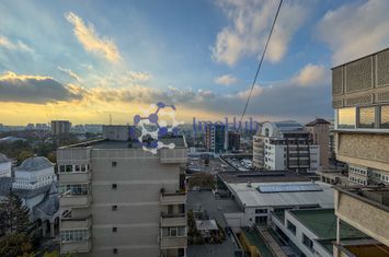 Apartament 2 camere in centru, Anastasie Panu, langa Palas anunturi imobiliare Iasi