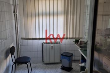 Spațiu comercial de inchiriat IASI - Iasi anunturi imobiliare Iasi
