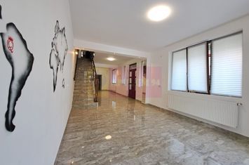 Vilă P+3, 12 camere, 300 mp – birouri/clinică/locuință, Timpuri Noi anunturi imobiliare Bucuresti