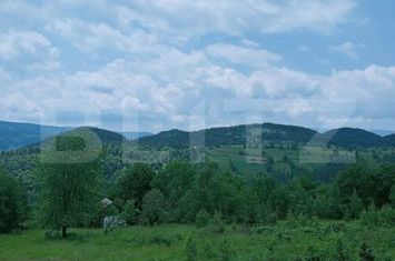 Teren de vanzare SCARISOARA - Alba anunturi imobiliare Alba