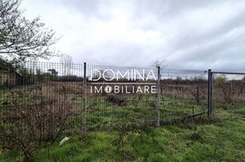 Teren de vanzare IEZURENI - Gorj anunturi imobiliare Gorj