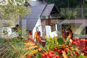 Vilă - 8 camere de vanzare ALBA IULIA - Alba anunturi imobiliare Alba