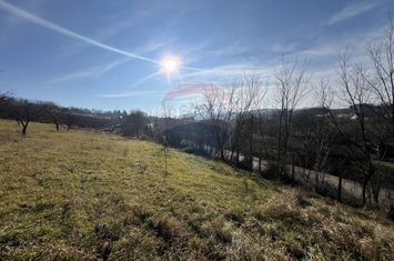 Teren intravilan Bădeni, central anunturi imobiliare Cluj