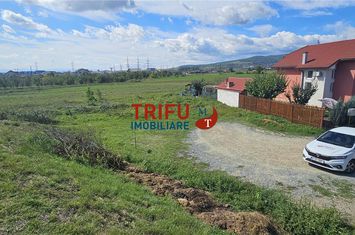 Teren Intravilan de vanzare BARABANT - Alba anunturi imobiliare Alba