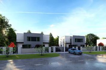 Vilă - 4 camere de vanzare SANANDREI - Timis anunturi imobiliare Timis