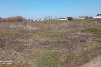 Teren  intravilan 465mp Str Lebedelor Comuna Berceni anunturi imobiliare Bucuresti