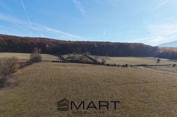 Teren de vanzare TOCILE - Sibiu anunturi imobiliare Sibiu