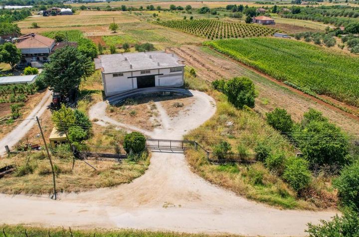 Spațiu comercial 250 mp + 250 mp auxiliare, Arkadikos anunturi imobiliare Grecia