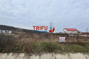 Teren Intravilan de vanzare CETATE - Alba anunturi imobiliare Alba