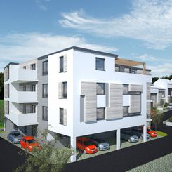 White Homes Concept Vitioara