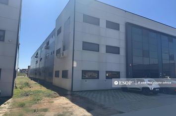 Spațiu industrial de inchiriat MAGURELE - Bucuresti anunturi imobiliare Bucuresti