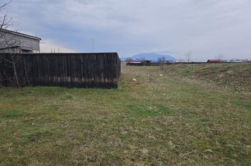 Teren de vanzare TRACTORU - Brasov anunturi imobiliare Brasov