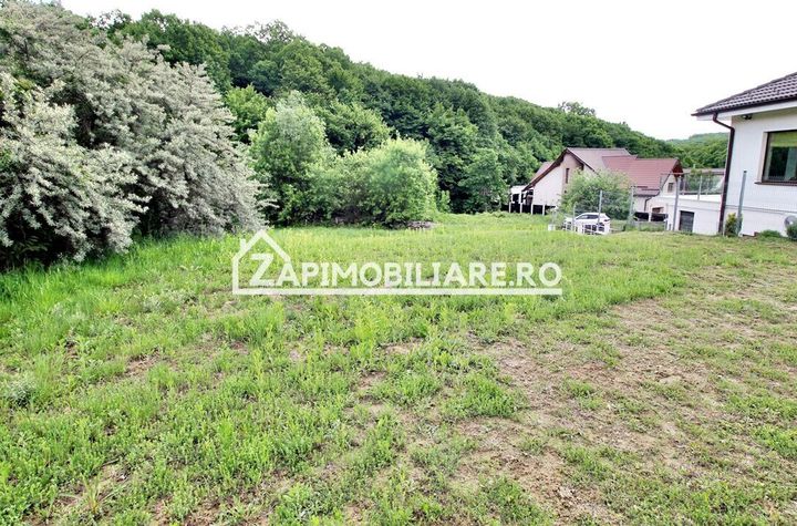 Teren Intravilan 806 mp.60 euro mp Valea Iubirii anunturi imobiliare Mures
