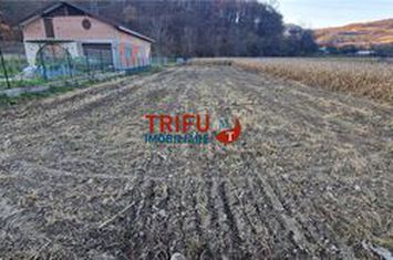 Teren Intravilan de vanzare AMPOITA - Alba anunturi imobiliare Alba