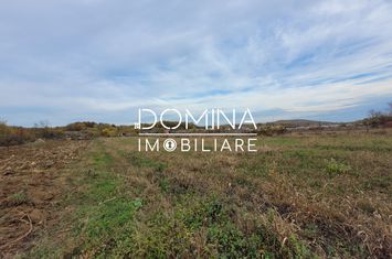 Teren de vanzare BALESTI - Gorj anunturi imobiliare Gorj