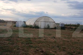 Teren de vanzare TARIAN - Bihor anunturi imobiliare Bihor