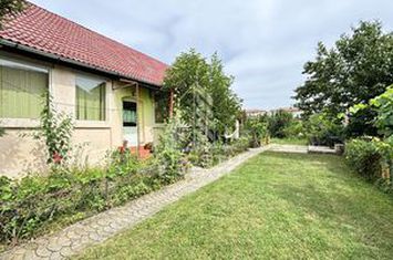 Casa cu 3 camere in Chisoda, teren 1480 mp anunturi imobiliare Timis