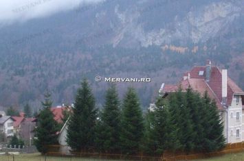 Teren de vânzare în Bușteni - Zona Piatra Arsă anunturi imobiliare Prahova